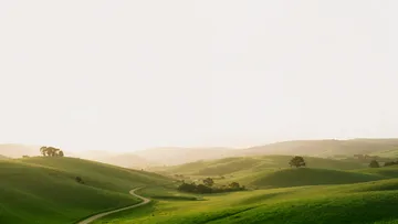Wallpaper 203