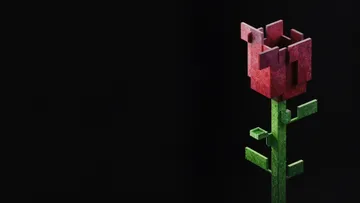 Wallpaper 238