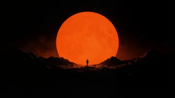 Wallpaper 271